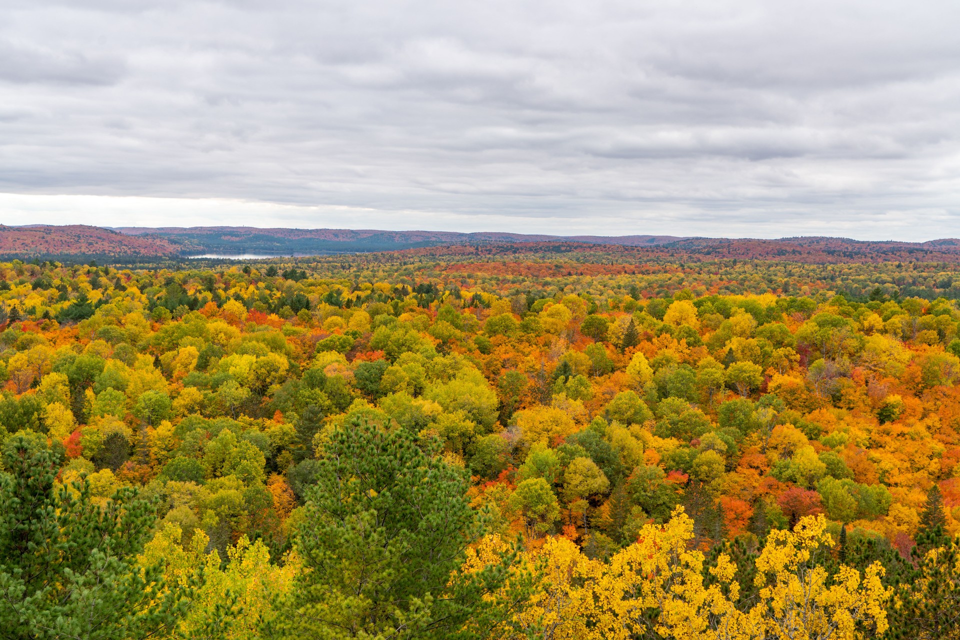 Fall colors at Lookout Trail and The Cliff Top Scenic Lookout, Algonquin Provincial Park, Ontario, Canada